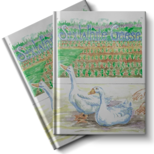 Six White Geese - Hardcover