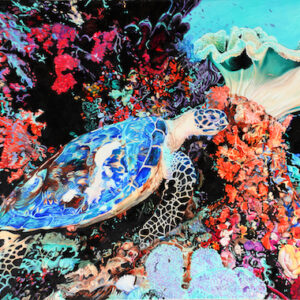 Sea Turtle in Paradise