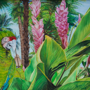 Tropical Experience