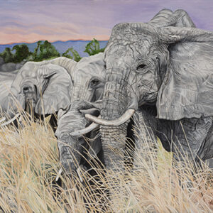 Elephant Lives Matter Too