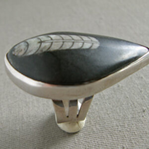 Silver Fossil Ring