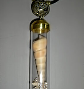 Brass wire bead with plexiglas tube and snail shells